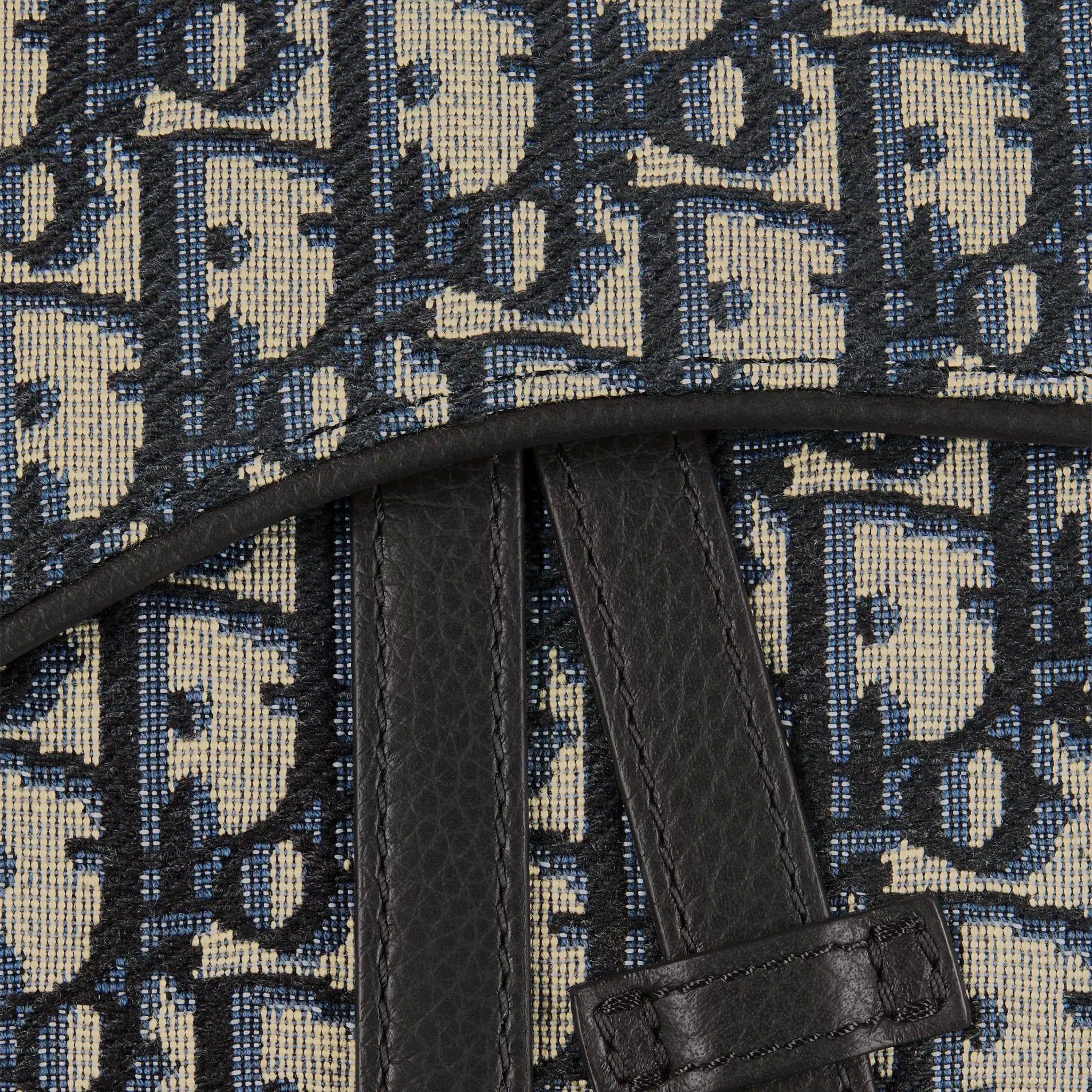 Detailed Belt View of Dior Oblique Jacquard Beige and Black Saddle Bag 1ADPO093YKY_H28E